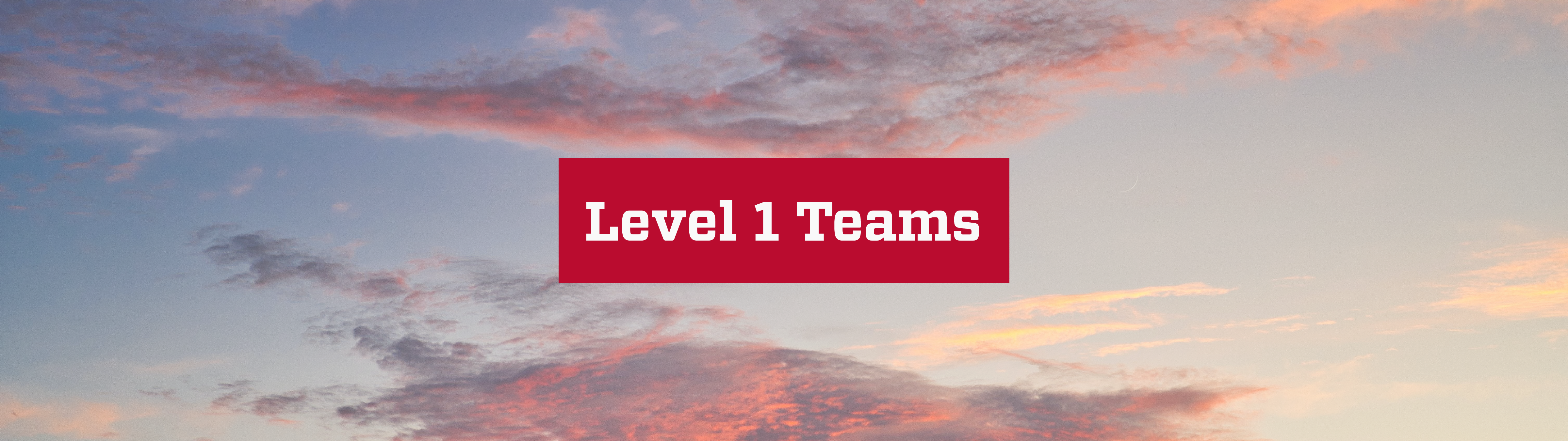 Level 1 Concept Teams