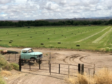 UNM researchers examine agricultural water use in New Mexico’s Middle Rio Grande Basin